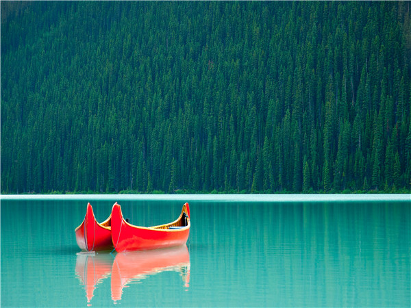 班夫 - 约翰斯顿峡谷 - 露易丝湖 - 灰熊镇/鲑鱼湾